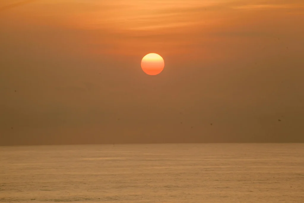 Why Applications Get Rejected | Gotra Visa